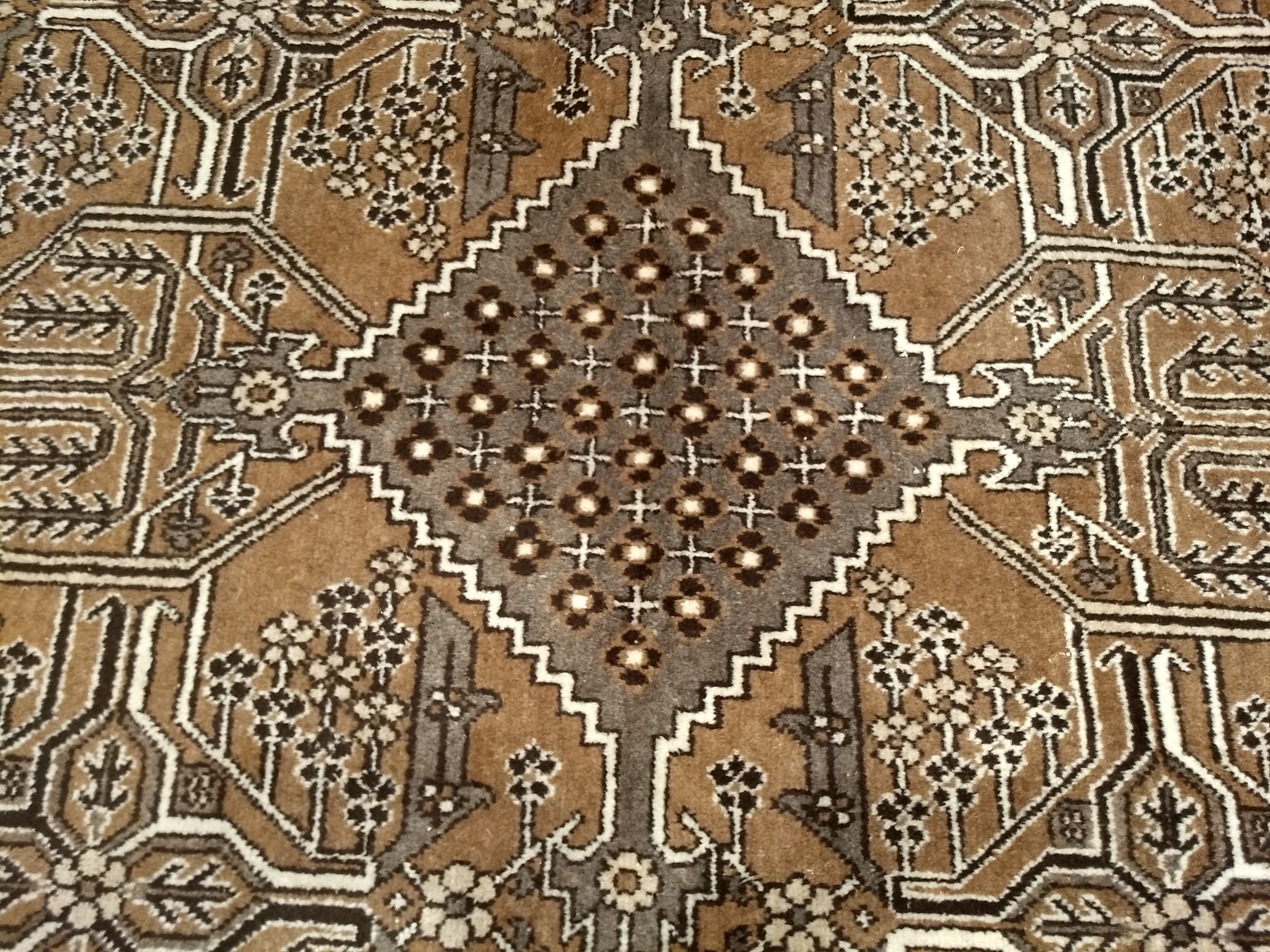 Bakhtiari Rug with Natural Wool Colors